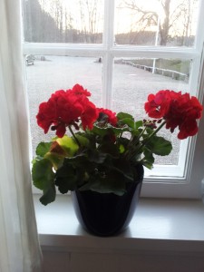 Pøt Mølle Kro - kom med på tur