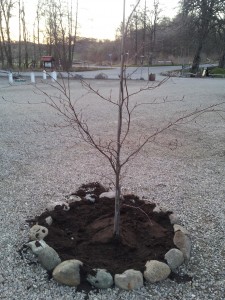 Pøt Mølle Kro - kom med på tur