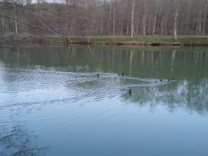 Pøt Mølle Kro - kom med på tur