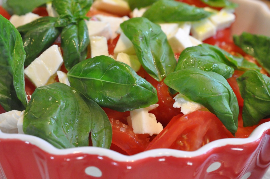 Tomatsalat med mozzarella, basilikum & rødløg