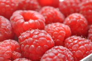 DSC_4495 • nogetiovnen.dk DSC_4495