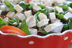 DSC_4802 • nogetiovnen.dk Tomatsalat med feta og basilikum