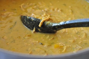 Svinekød i karry med kokosmælk - karrygryde