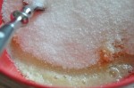 Rabarbertærte - crumble med mandelmel