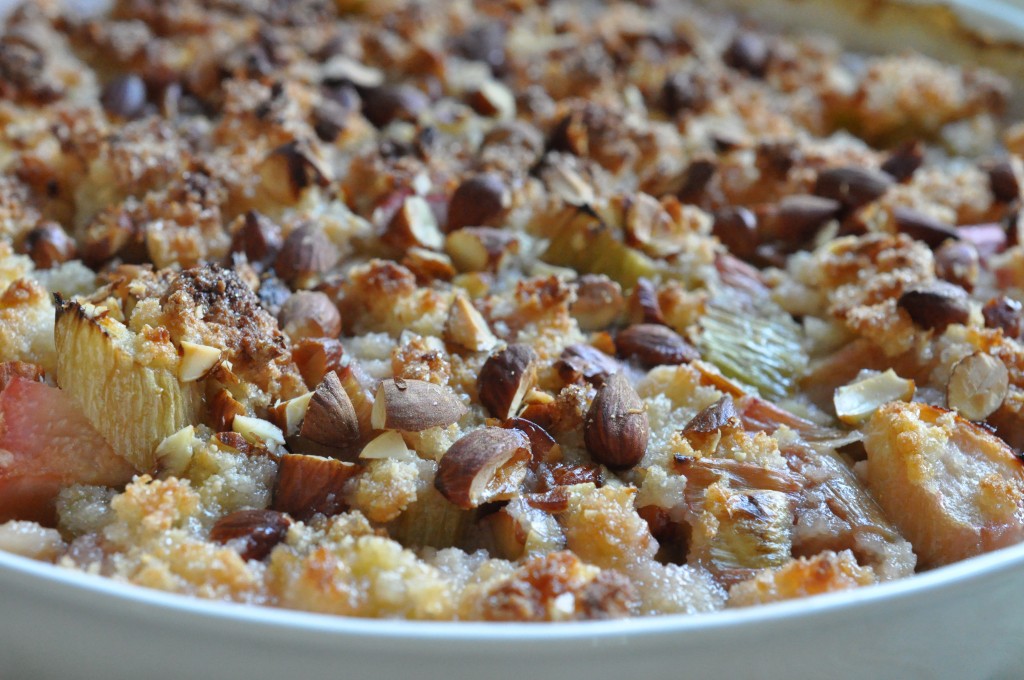 DSC_5230 • nogetiovnen.dk Rabarbertærte nem crumble med mandelmel