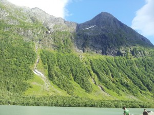 Solskin, bifsnadder og sommeridyl i Norge