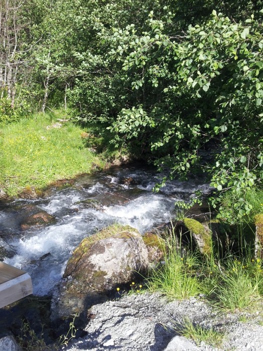 Solskin, bifsnadder og sommeridyl i Norge