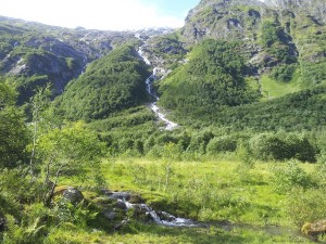 Solskin, bifsnadder og sommeridyl i Norge