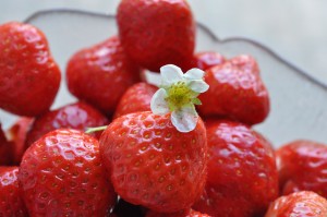 Jordbær med fløde - smagen af sommer