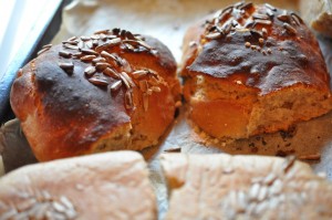 Hapå - norske lækkerier - glimt fra ferien i Norge