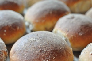 Farvel Norge og goddag grynstykker fra AMO