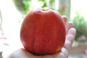 DSC_6732 • nogetiovnen.dk Bradepandekage med æbler og marcipan