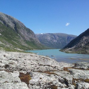 Nigard i Norge