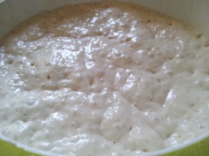 2013-08-14 16.50.39 • nogetiovnenstaging.com Hurtigt grydebrød - nem opskrift på brød