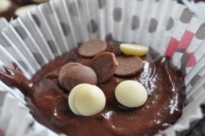 Chokolade muffins - opskrift på svampede muffins