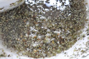 Pizza med serranoskinke og pesto - deep pan