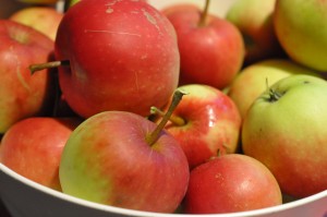 Kage med æbler & kanel i bradepande opskrift