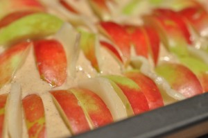 Kage med æbler & kanel i bradepande opskrift