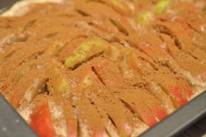 Kage med æbler & kanel i bradepande opskrift