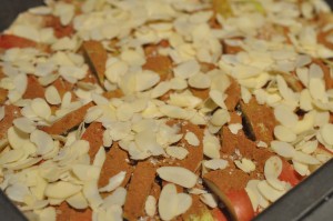 Kage med æbler & kanel i bradepande opskrift