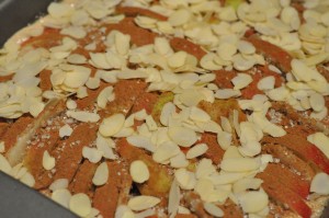 Kage med æbler & kanel i bradepande opskrift