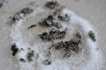 Abrikosmarmelade med vanilje - nem opskrift