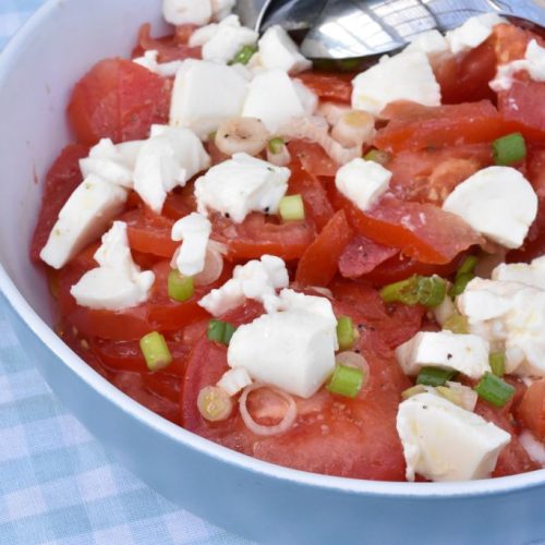 Tomatsalat med forårsløg & mozzarella - nem