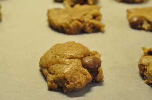 Småkager med brun farin, lakrids og chokolade