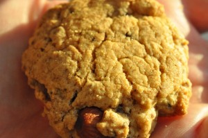 Småkager med brun farin, lakrids og chokolade