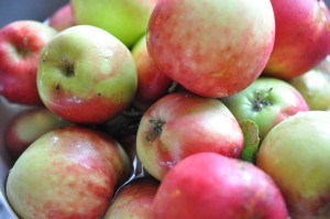Æblemarmelade med skræl - nem opskrift