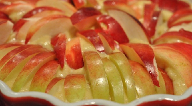 DSC_9302-672x372-1 • nogetiovnen.dk