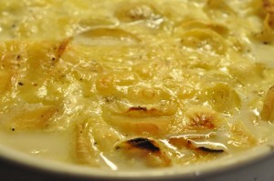 Flødekartofler med forårsløg - cremede & lækre