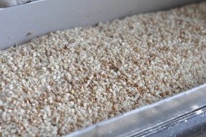 Rugbrød uden surdej - opskrift på nemme brød