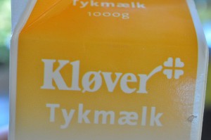 DSC_9855 • nogetiovnen.dk Boller og brød med tykmælk - uden æltning