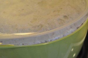 Lynhurtige boller med Vinjett-hvedemel Boller og brød med tykmælk - uden æltning