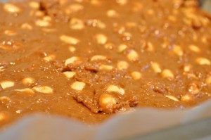 Fudge med kondenseret mælk & salte peanuts
