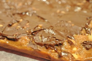 Fudge med kondenseret mælk & salte peanuts