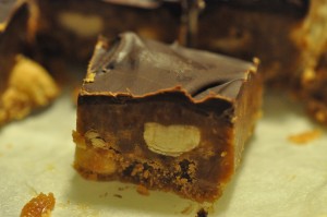 Fudge med kondenseret mælk & salte peanuts