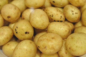 Kartofler
