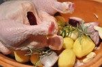 DSC_1695 • nogetiovnen.dk Coq au vin blanc - kylling i hvidvin