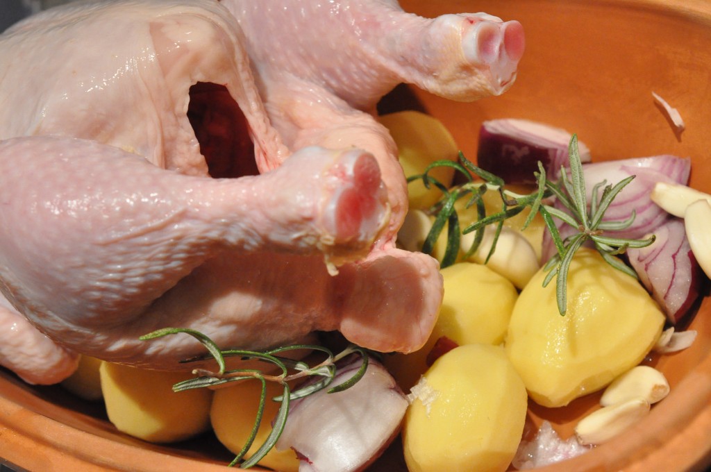 Coq au vin blanc - kylling i hvidvin