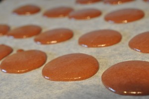 AMO chokolademacarons i Vesterhavshytten