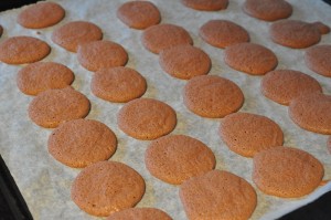 AMO chokolademacarons i Vesterhavshytten