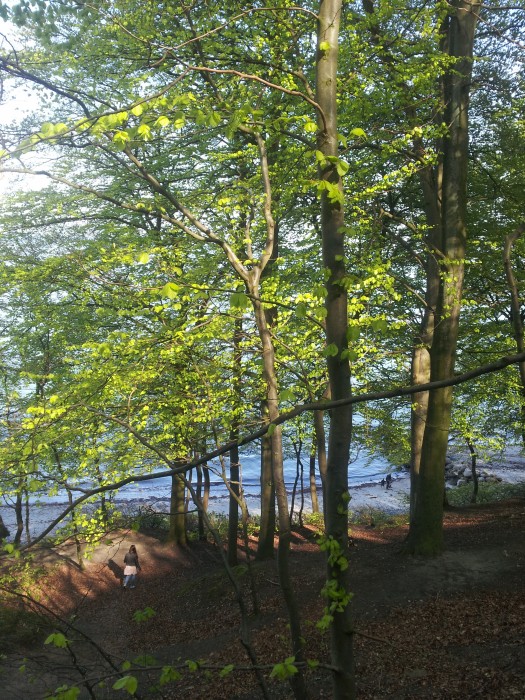 Fødselsdagsskovtur i Marselisborgskoven