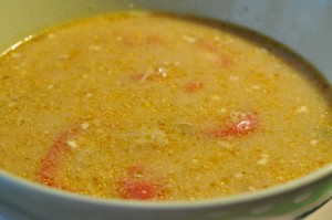 DSC_4450 • nogetiovnenstaging.com Stærk kyllingesuppe med chili og flødeost
