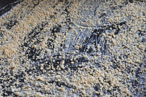 Squashkage - bradepandekage med squash