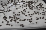 Chokoladekage med skyr - bradepandekage