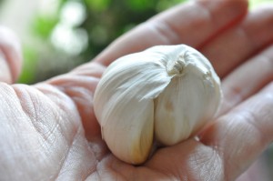 Lasagne med squash, gulerødder & oksekød