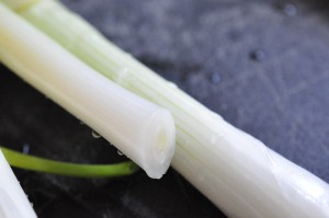 Lasagne med oksekød, squash og gulerødder