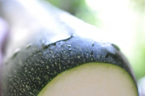 Lasagne med squash, gulerødder & oksekød